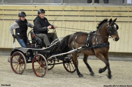 2017-03 Indoor Deauville - Epreuve de vitesse, 06-DSC_3271