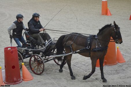 2017-03 Indoor Deauville - Epreuve de vitesse, 06-DSC_3283