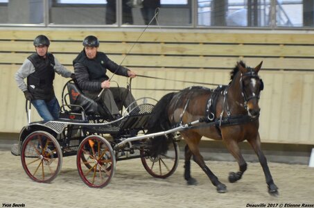 2017-03 Indoor Deauville - Epreuve de vitesse, 06-DSC_3284