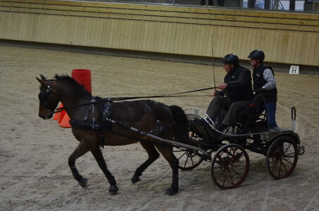 2017-03 Indoor Deauville - Epreuve de vitesse, 06-DSC_3287