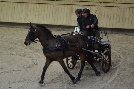 2017-03 Indoor Deauville - Epreuve de vitesse, 06-DSC_3291