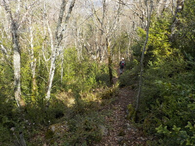TROU DE L'ARGENT 21 03 2017 : 9.7 km, 4  h de marche, 705 m de dénivelé positif cumulé, P2, T2. Météo : temps nuageux à couvert, un peu de vent sur les crêtes., Début de la descente versant nord