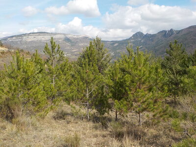 TROU DE L'ARGENT 21 03 2017 : 9.7 km, 4  h de marche, 705 m de dénivelé positif cumulé, P2, T2. Météo : temps nuageux à couvert, un peu de vent sur les crêtes., Vue depuis le col de Mézien