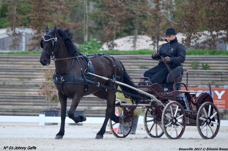 2017-03 Indoor de Deauville - CCA Chevaux, 01-DSC_3883