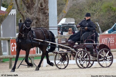 2017-03 Indoor de Deauville - CCA Chevaux, 01-DSC_3889