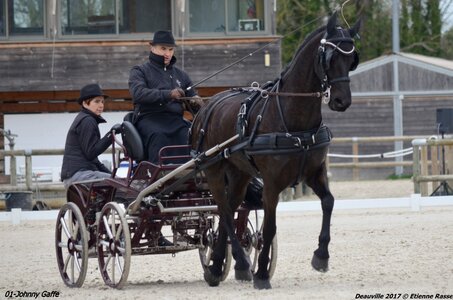 2017-03 Indoor de Deauville - CCA Chevaux, 01-DSC_3890