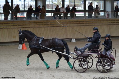 2017-03 Indoor de Deauville - CCA Chevaux, 01-DSC_4459