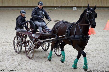 2017-03 Indoor de Deauville - CCA Chevaux, 01-DSC_4468