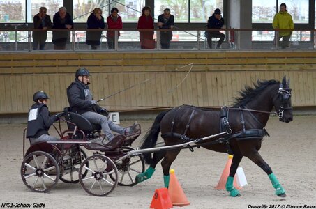 2017-03 Indoor de Deauville - CCA Chevaux, 01-DSC_4470