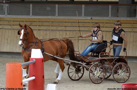 2017-03 Indoor de Deauville - CCA Chevaux, 02-DSC_4446