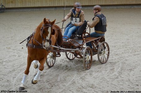 2017-03 Indoor de Deauville - CCA Chevaux, 02-DSC_4455