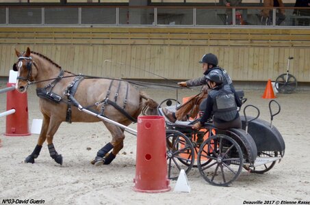 2017-03 Indoor de Deauville - CCA Chevaux, 03-DSC_4520