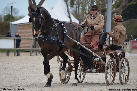 2017-03 Indoor de Deauville - CCA Chevaux, 04-DSC_3931