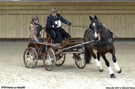 2017-03 Indoor de Deauville - CCA Chevaux, 04-DSC_4600
