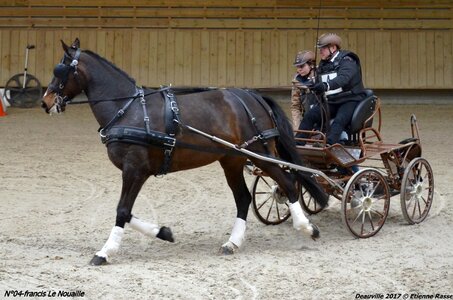 2017-03 Indoor de Deauville - CCA Chevaux, 04-DSC_4604