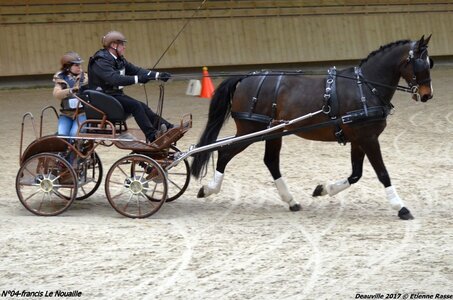 2017-03 Indoor de Deauville - CCA Chevaux, 04-DSC_4607