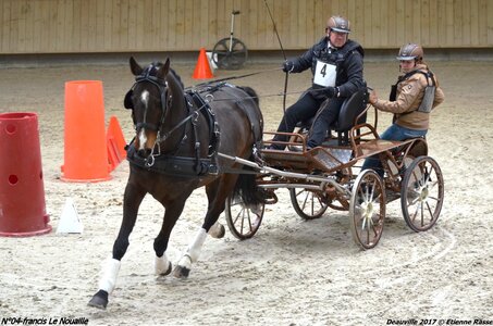 2017-03 Indoor de Deauville - CCA Chevaux, 04-DSC_4611