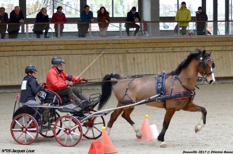 2017-03 Indoor de Deauville - CCA Chevaux, 05-DSC_4494