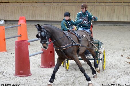 2017-03 Indoor de Deauville - CCA Chevaux, 06-DSC_4499