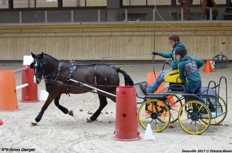 2017-03 Indoor de Deauville - CCA Chevaux, 06-DSC_4503