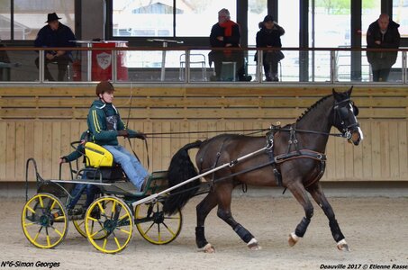 2017-03 Indoor de Deauville - CCA Chevaux, 06-DSC_4504
