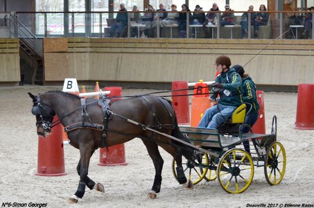 2017-03 Indoor de Deauville - CCA Chevaux, 06-DSC_4506
