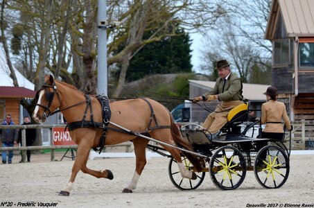 2017-03 Indoor de Deauville - CCA Chevaux, 20-DSC_3934