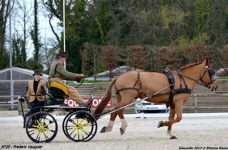 2017-03 Indoor de Deauville - CCA Chevaux, 20-DSC_3937