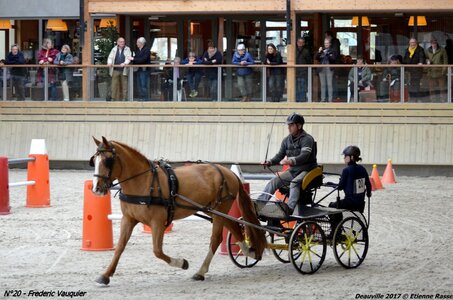 2017-03 Indoor de Deauville - CCA Chevaux, 20-DSC_4527