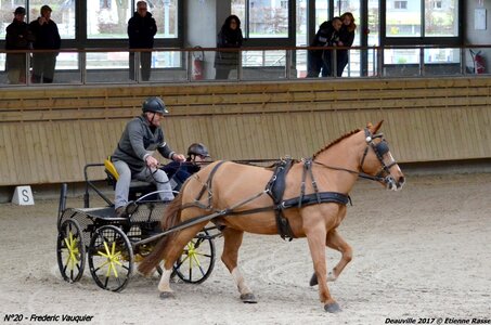 2017-03 Indoor de Deauville - CCA Chevaux, 20-DSC_4535