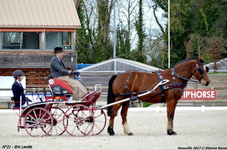 2017-03 Indoor de Deauville - CCA Chevaux, 21-DSC_3945