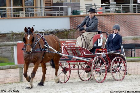 2017-03 Indoor de Deauville - CCA Chevaux, 21-DSC_3947