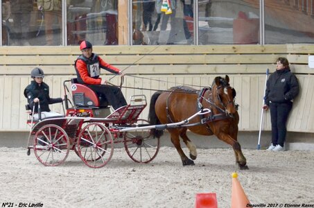 2017-03 Indoor de Deauville - CCA Chevaux, 21-DSC_4544