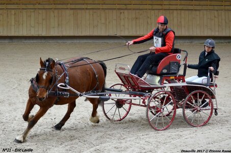 2017-03 Indoor de Deauville - CCA Chevaux, 21-DSC_4564