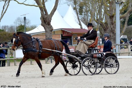 2017-03 Indoor de Deauville - CCA Chevaux, 22-DSC_3956