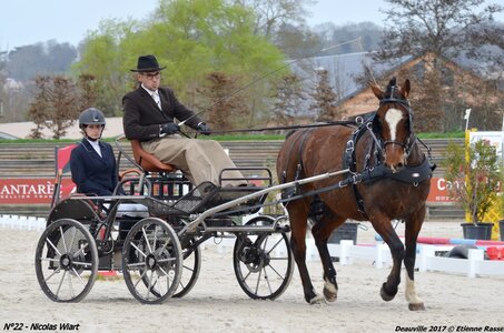 2017-03 Indoor de Deauville - CCA Chevaux, 22-DSC_3963