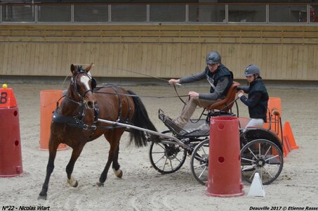 2017-03 Indoor de Deauville - CCA Chevaux, 22-DSC_4584