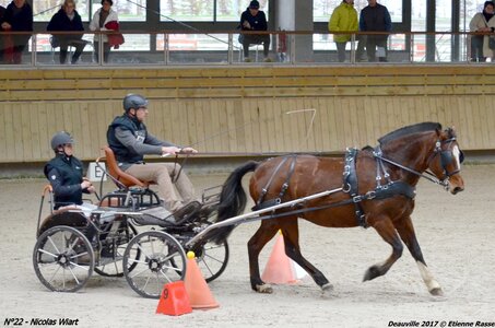 2017-03 Indoor de Deauville - CCA Chevaux, 22-DSC_4585