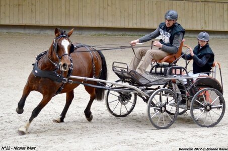 2017-03 Indoor de Deauville - CCA Chevaux, 22-DSC_4589