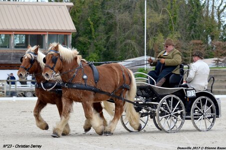 2017-03 Indoor de Deauville - CCA Chevaux, 23-DSC_4001