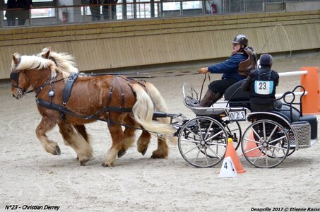 2017-03 Indoor de Deauville - CCA Chevaux, 23-DSC_4656