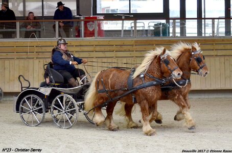 2017-03 Indoor de Deauville - CCA Chevaux, 23-DSC_4667