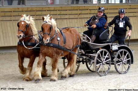 2017-03 Indoor de Deauville - CCA Chevaux, 23-DSC_4670