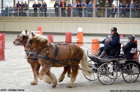 2017-03 Indoor de Deauville - CCA Chevaux, 23-DSC_4673
