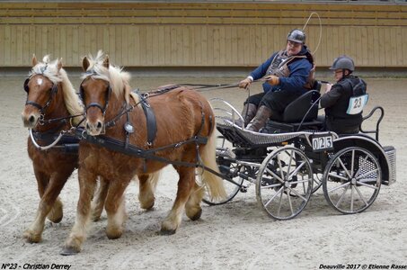2017-03 Indoor de Deauville - CCA Chevaux, 23-DSC_4675