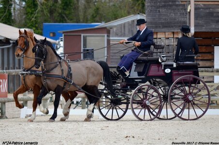 2017-03 Indoor de Deauville - CCA Chevaux, 24-DSC_4010