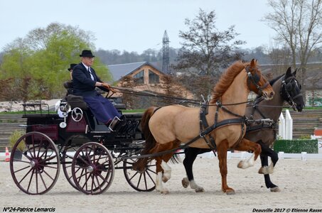 2017-03 Indoor de Deauville - CCA Chevaux, 24-DSC_4012