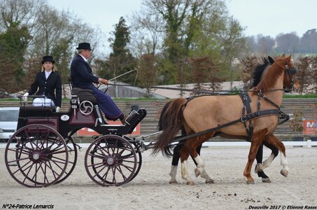 2017-03 Indoor de Deauville - CCA Chevaux, 24-DSC_4017