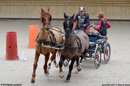 2017-03 Indoor de Deauville - CCA Chevaux, 24-DSC_4031