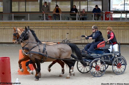 2017-03 Indoor de Deauville - CCA Chevaux, 24-DSC_4037